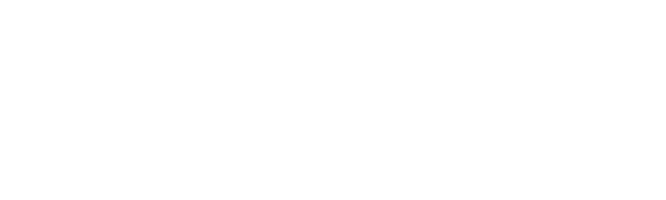 Princeton Ballet School logo