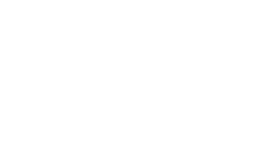 Bella Boutique logo