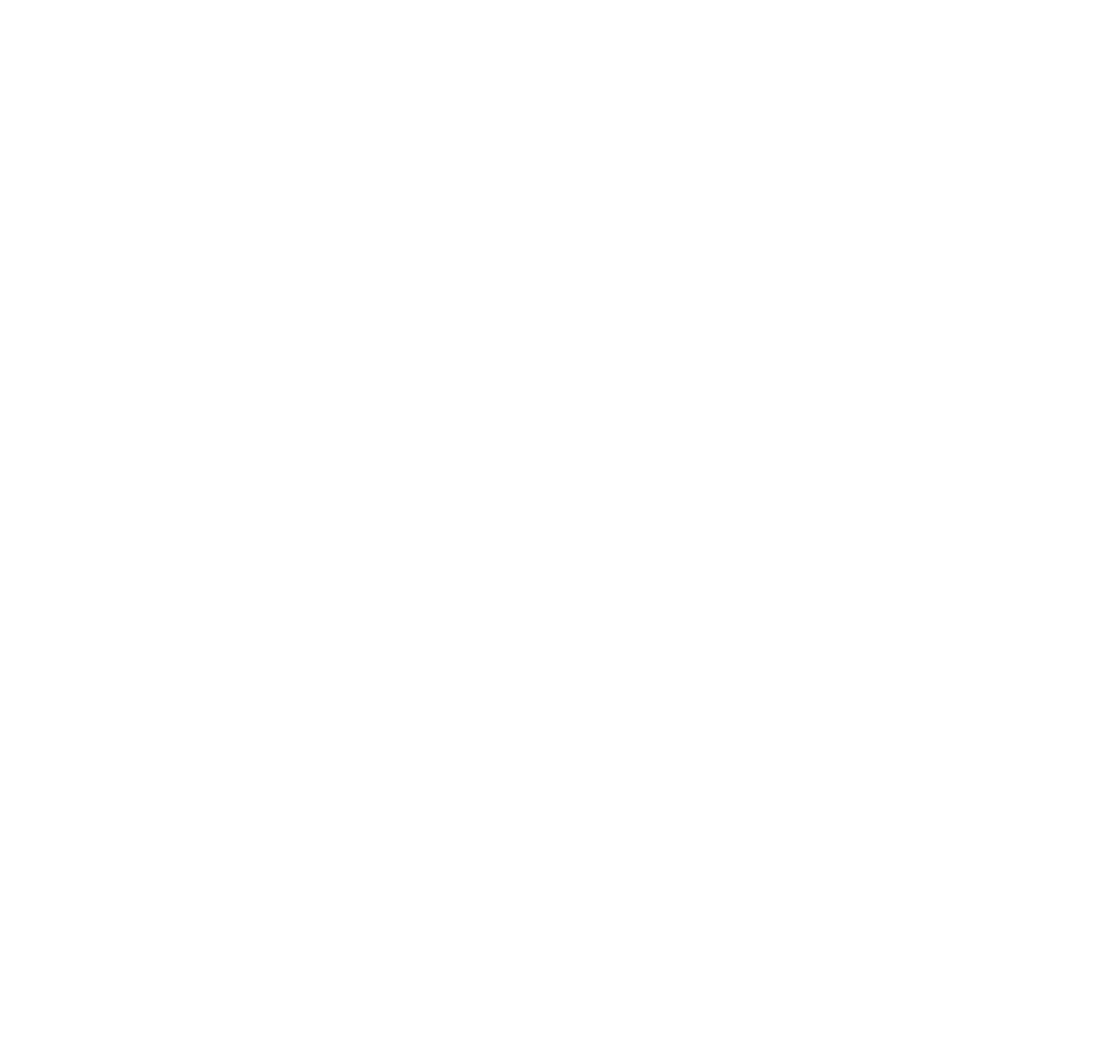 The Blue Bears logo