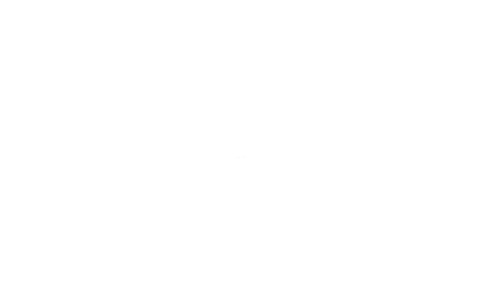 Concord Pet logo