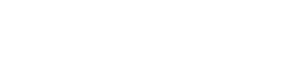 Princeton Bridal logo