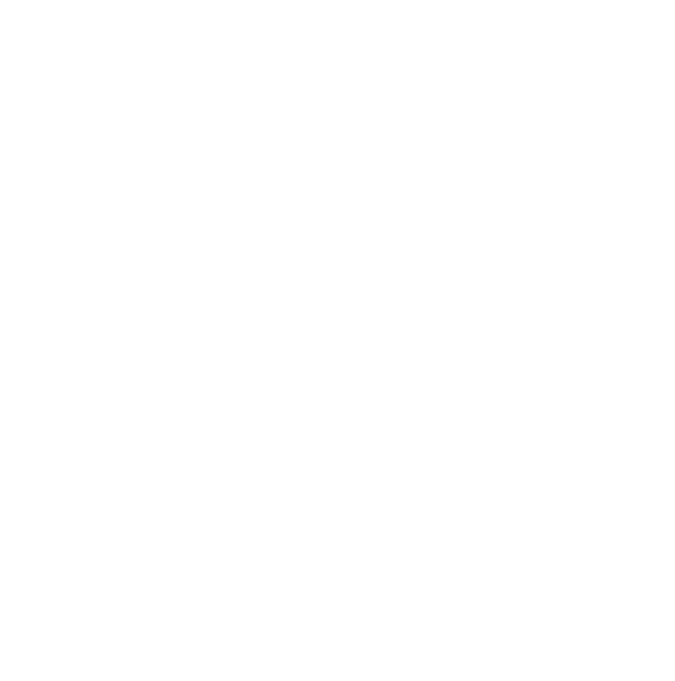 Princeton Pizza Star logo