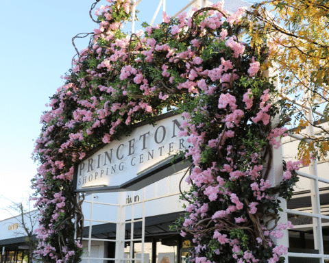 About - Princeton Shopping Center